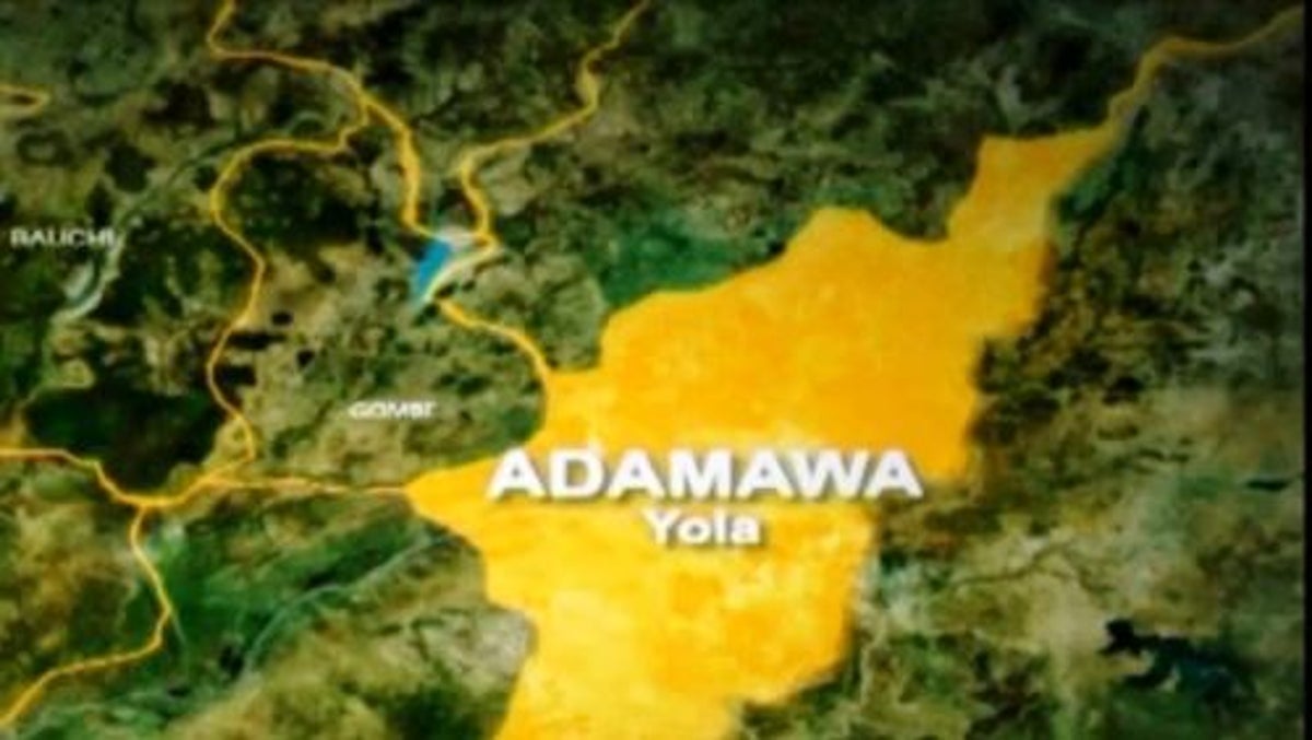 Cholera Outbreak: Adamawa Confirms 12 Deaths 