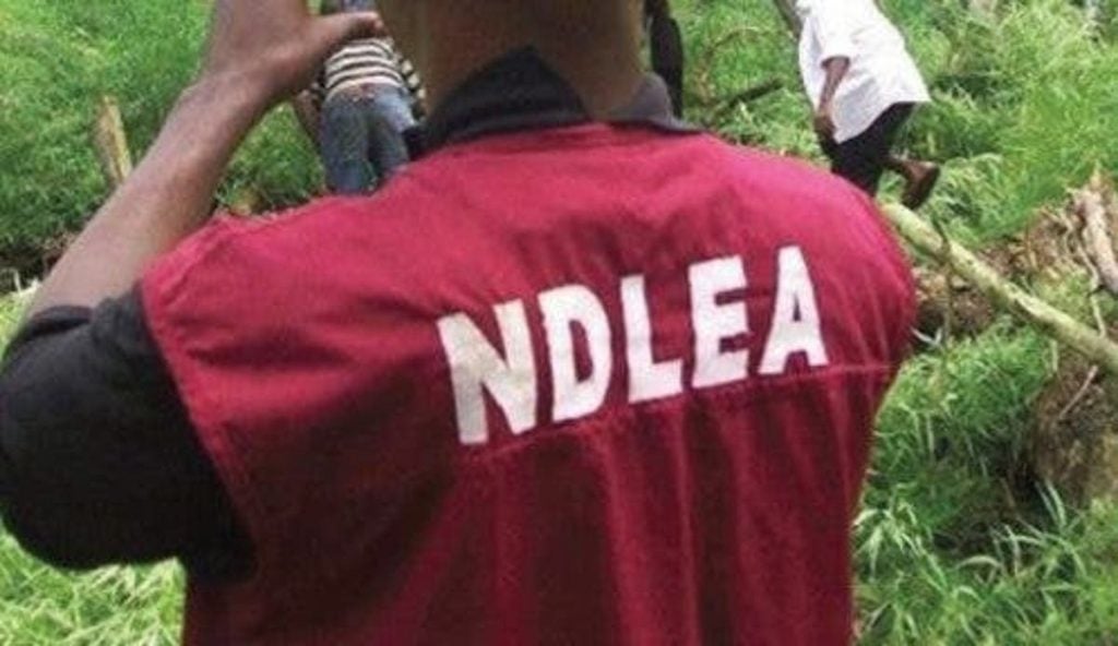 NDLEA operatives injured in gunfight with Edo drug cartel