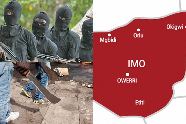 Gunmen behead Imo sole administrator