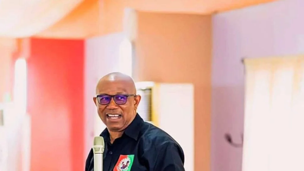 Peter Obi: Youths won’t japa when I become President