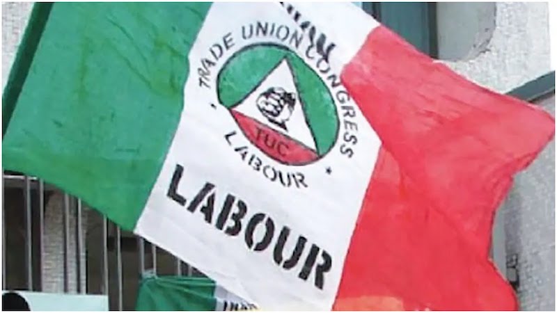 Labour unions in North East propose N560,000 per month as minimum wage