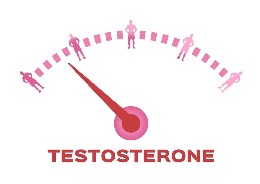 Increase Testosterone Levels in Men 1