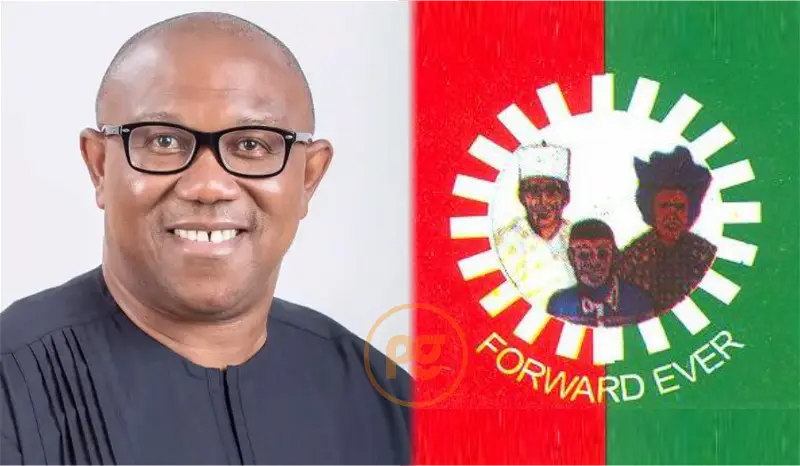 Peter Obi reveals next action over INEC’s refusal to obey court order