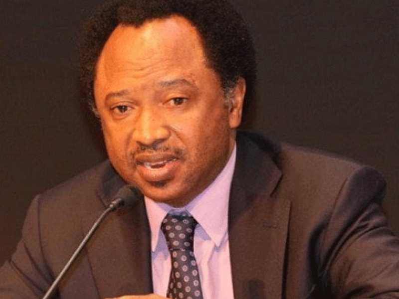 Govs will use state police to persecute opposition, rig election’ – Shehu Sani warns