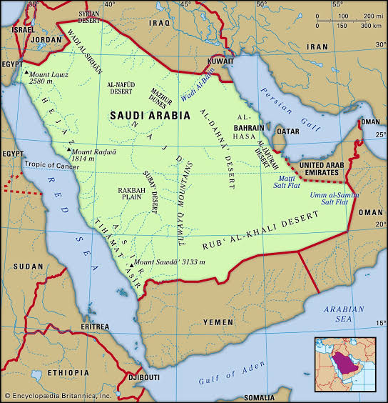 Saudi Arabia detains 800 Nigerians