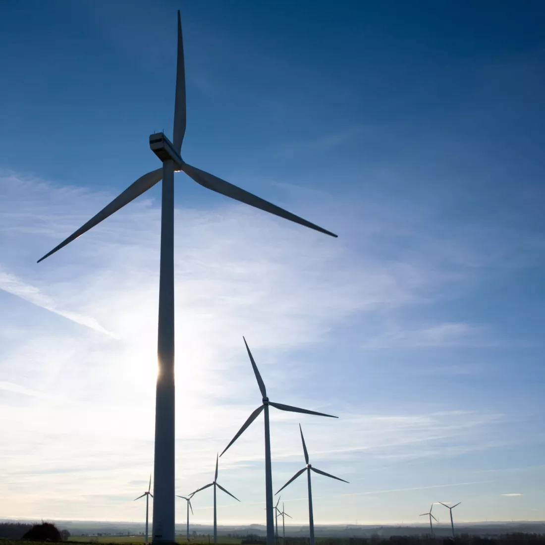 Wind and solar power are on the rise in Europe