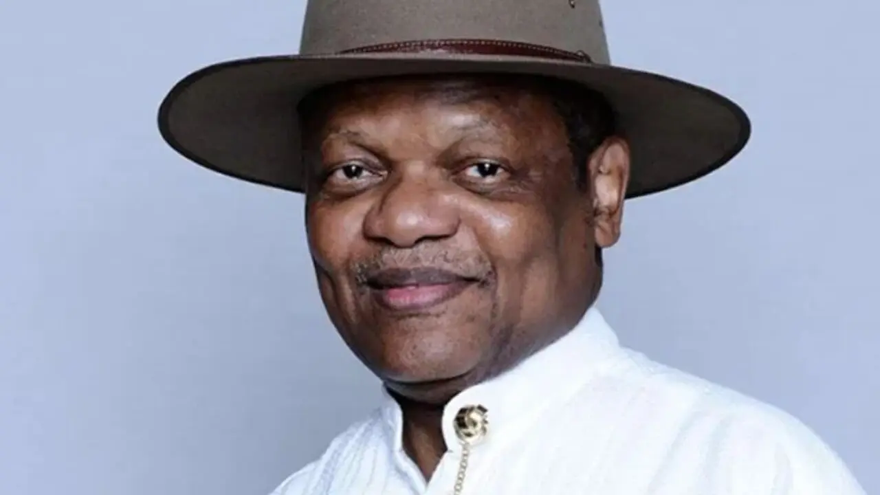 Poll: I’m disappointed with INEC’s performance – Atedo Peterside