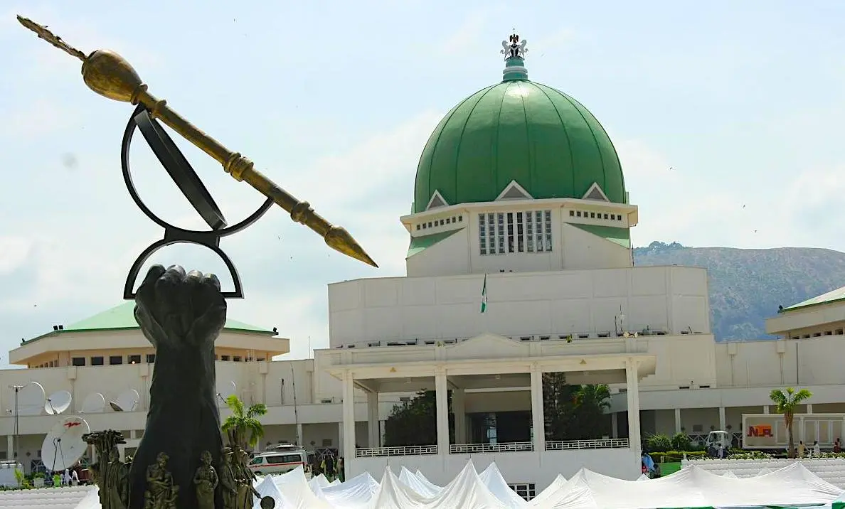 New NASS members to get Certificates of Return next week