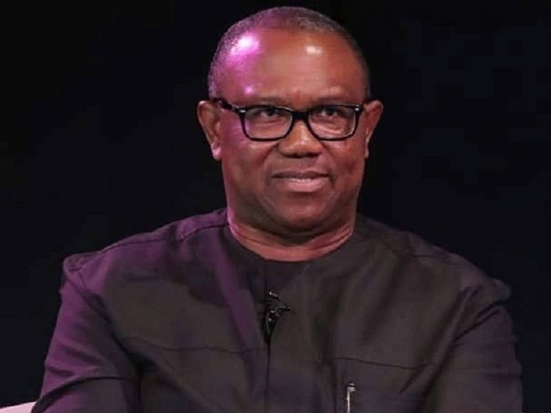 ‘Peter Obi hunted by ghost’ – Daniel Bwala on ex-presidential candidate’s threat to dump LP