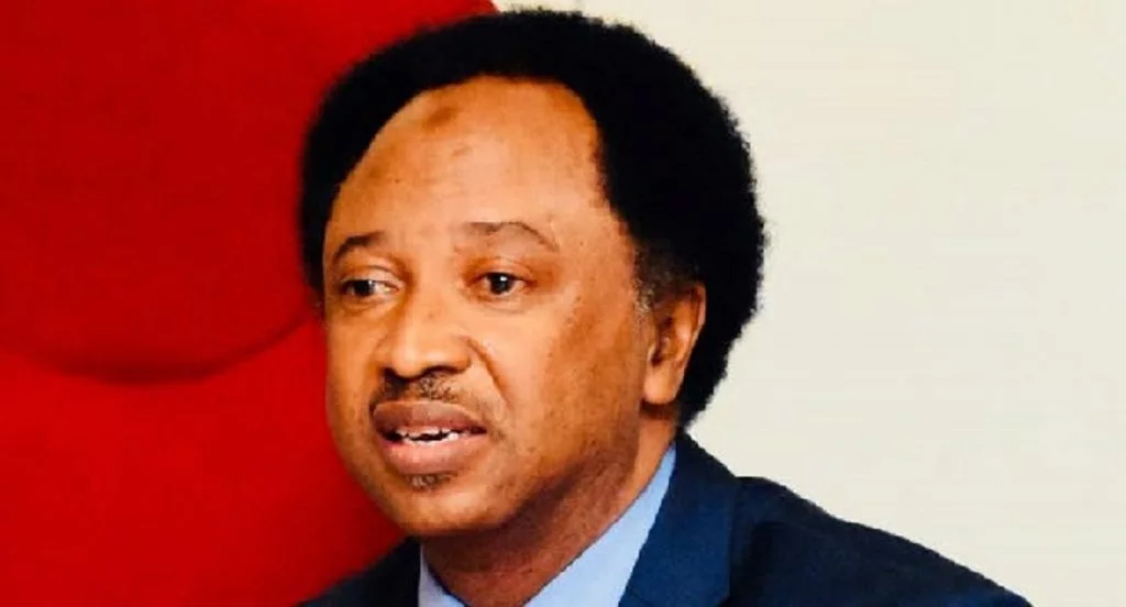 Shehu Sani Tells Senators How To Impeach Akpabio