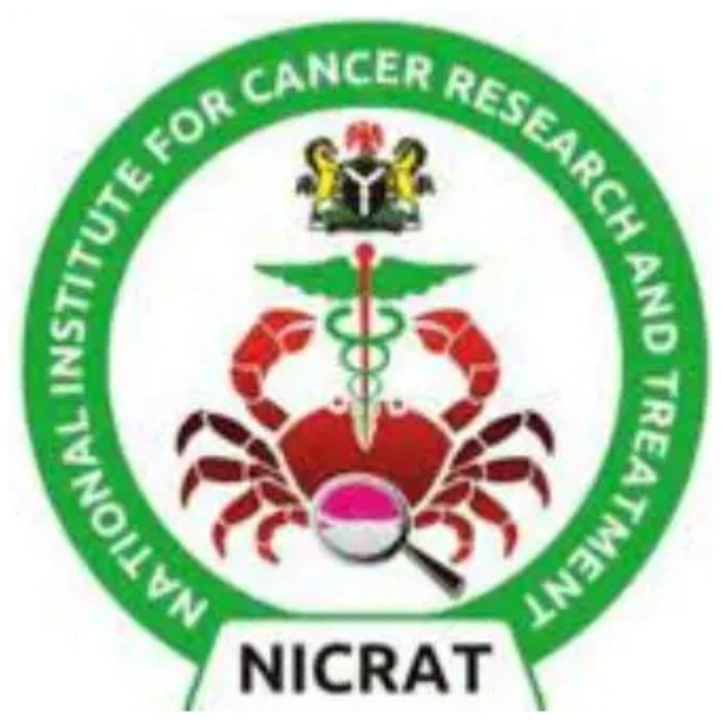 Indomie noodles: Nigerians should expect escalation of cancer – NICRAT