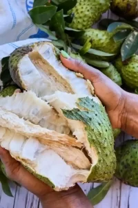 guanabana fruit 720x1080 1