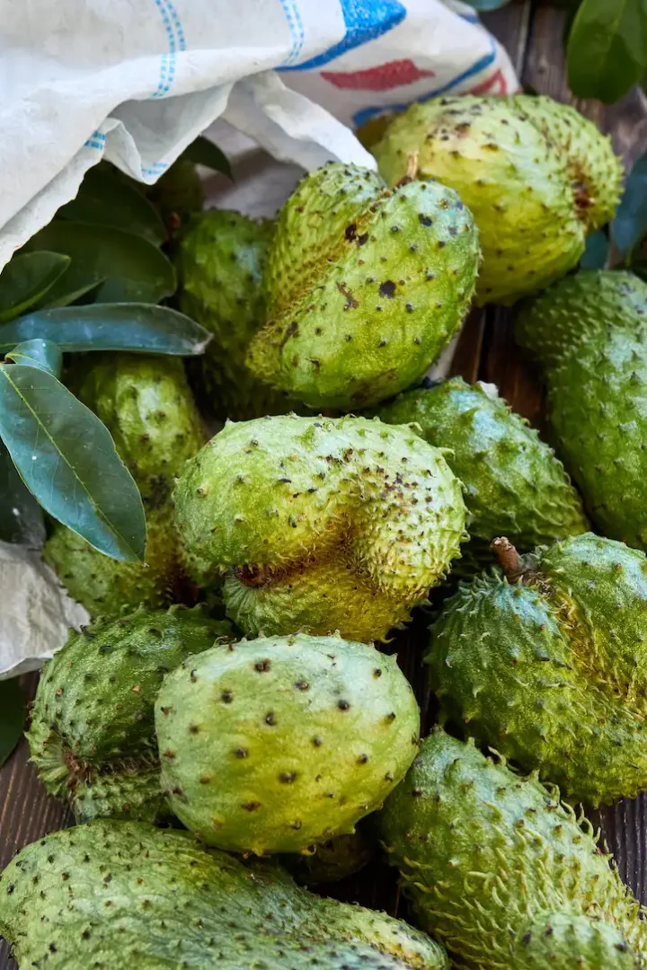 Exploring the Benefits and Uses of Soursop (Guanabana) Fruit: A Versatile and Nutritious Addition to Your Diet