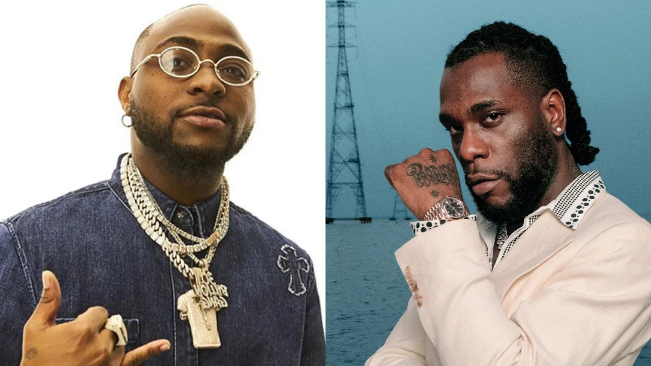 New cat saga: Burna Boy, Davido rivalry divides Nigerians