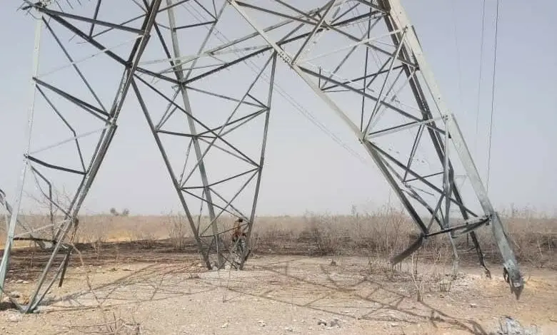 High-tension cable electrocutes widow and son in Delta