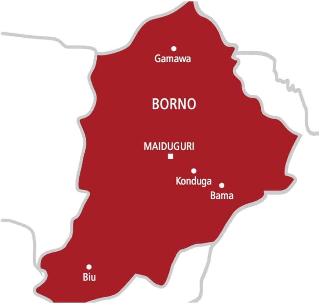 Maiduguri Flood: Crocodiles, Snakes, Other Wild Animals Invade Borno Communities