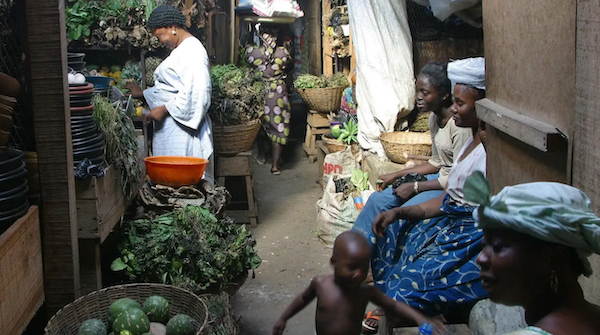 Why Nigerian herbs haven’t been commercialised, says NIMR