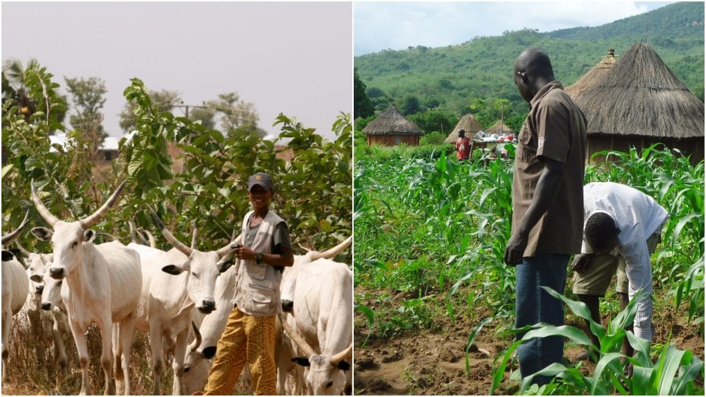 Poor allocation of resources major cause of herder-farmer clashes – Taraba lawmaker