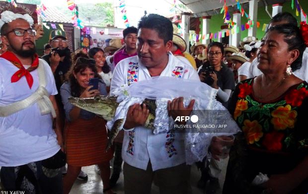 Mexican mayor weds reptile 