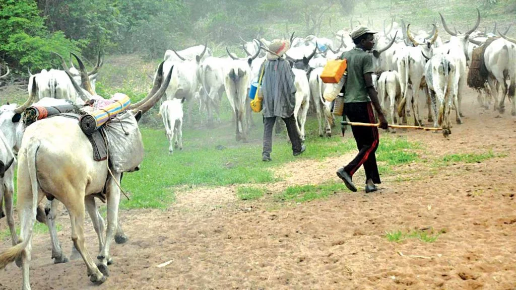 We’ll end all killings during President Tinubu’s administration – Fulani herders