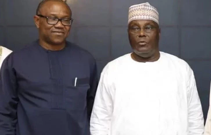 Don’t waste resources to challenge Tinubu’s victory – Scholar advises Atiku, Obi