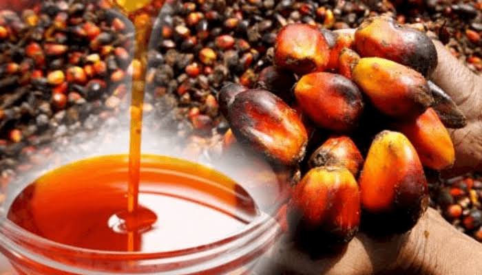 Palm oil: A revolutionary new way to live longer