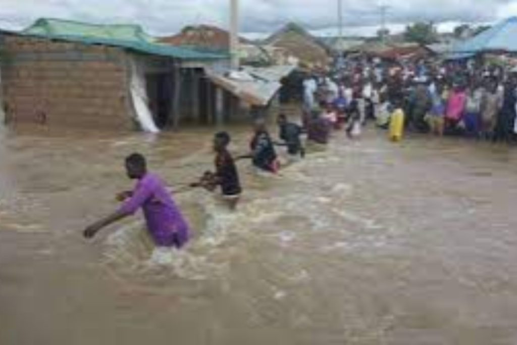 Flood displaces hundreds of people from Adamawa community