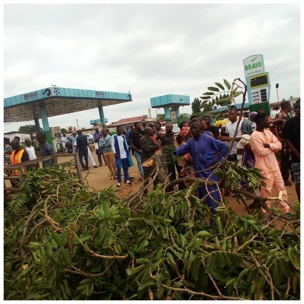 Fallen tree kills woman, injures 10 others in Ilorin