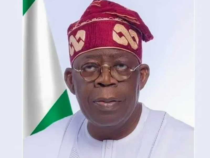 We Must Succeed By All Means, Tinubu Declares