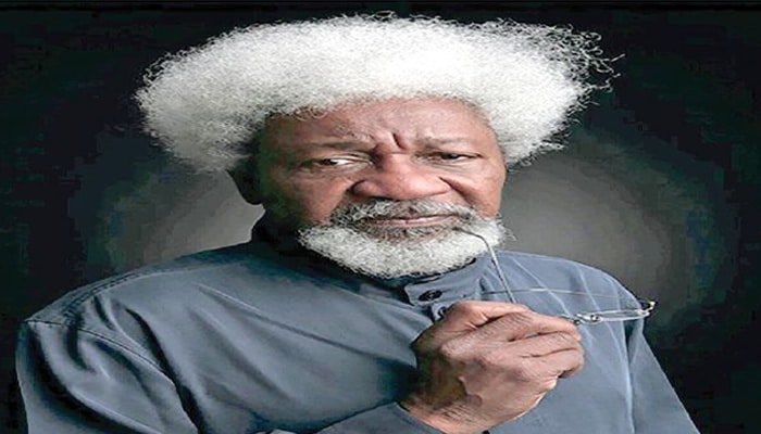 I will assess Tinubu’s govt after one year – Soyinka