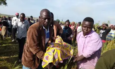 Plateau: Death toll hits 195, hundreds of houses razed