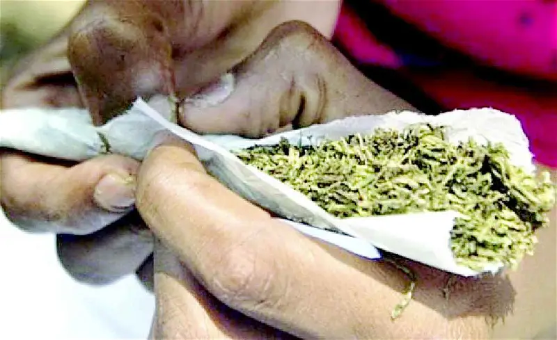 Man butchers friend over wrap of marijuana in Cross River