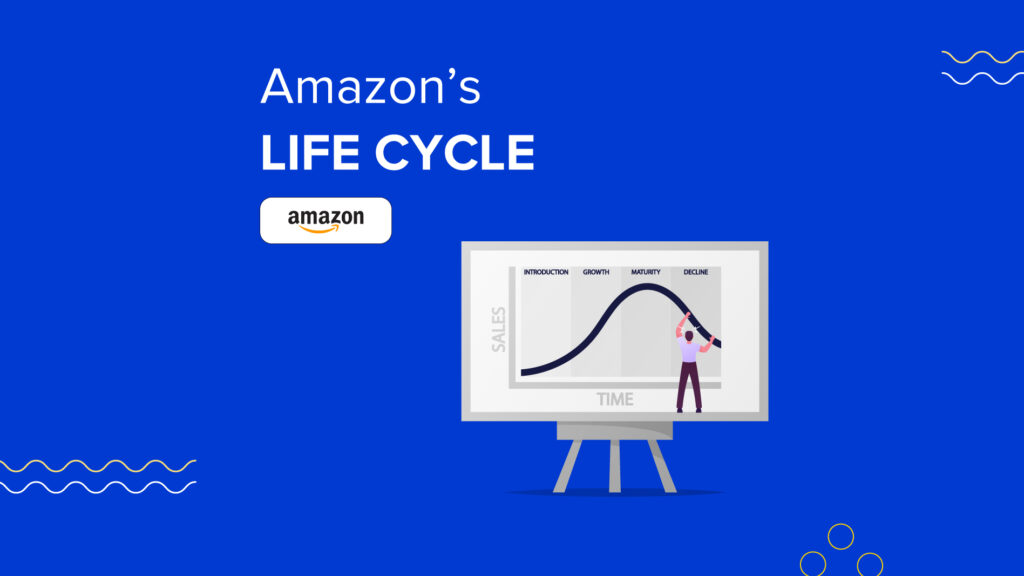 Amazons life cycle 2