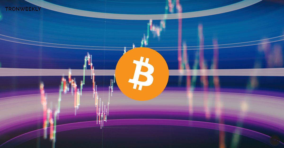 Analyst Warns Of .6K Drop, Wallets Drop By 487K