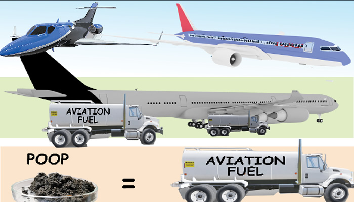 Biogas: How human faeces can be used to power planes