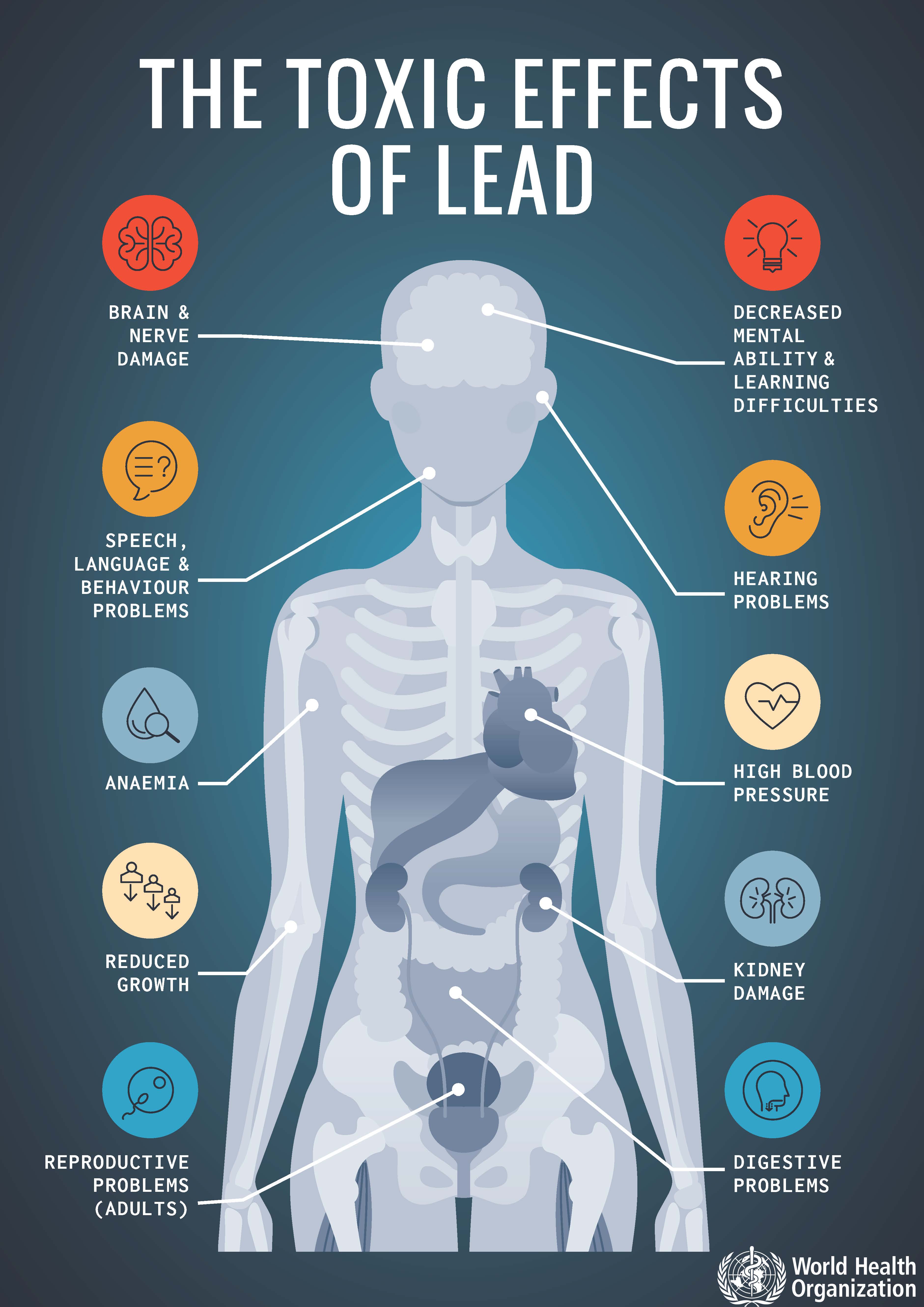 Lead Poisoning: Unveiling the Silent Threat