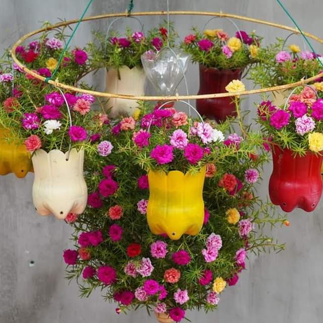 DIY Project –  Turn Plastic Bottles Into a Beautiful Hanging Garden [Video]