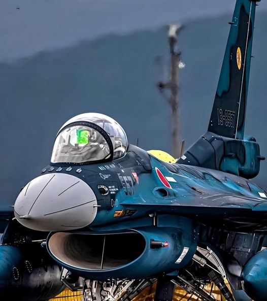 F-2 “Viper Zero” [Photo]