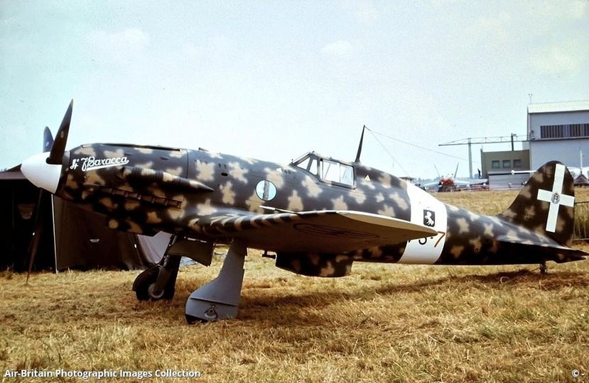 The elegant MC.202 Italian fighter. (Photo)