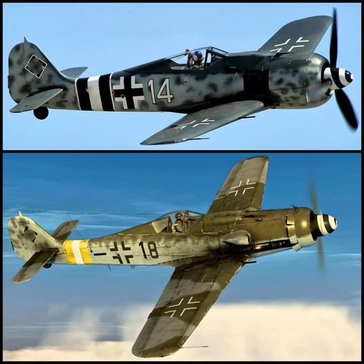 Difference in the Fw-190A and Fw-190D! [Photo]