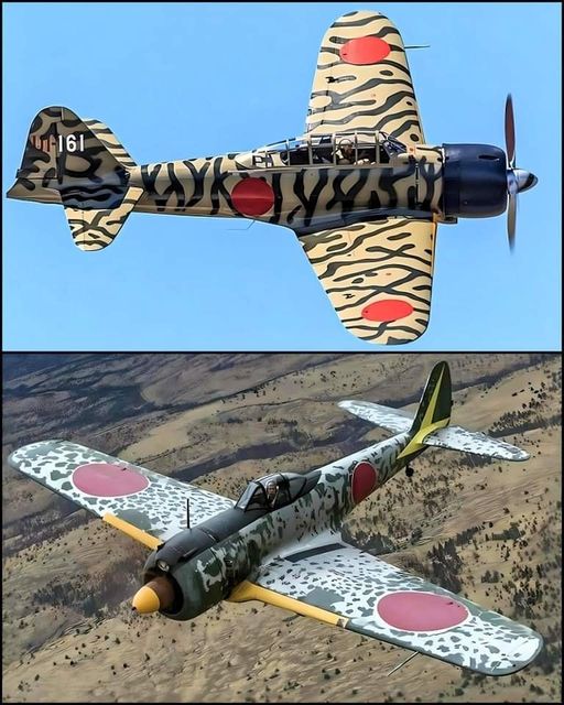 Zero and Hayabusa with amazing camouflage!