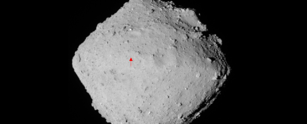 Seeds of Life? Samples Taken From Asteroid Ryugu Contain Traces of Comet Particles