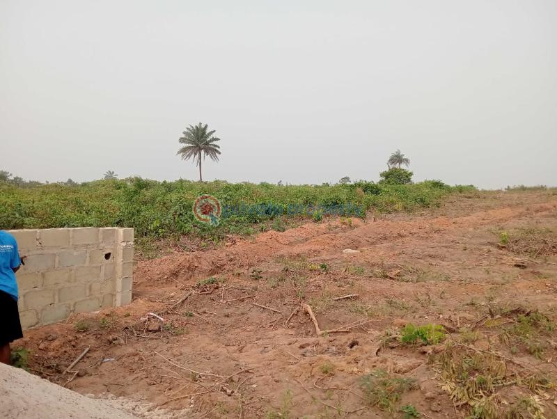 For sale: Commercial Land The Palmgrove Unique Estate Mgbakwu Three Minutes To Innoson Group Of Companies. Anambra West