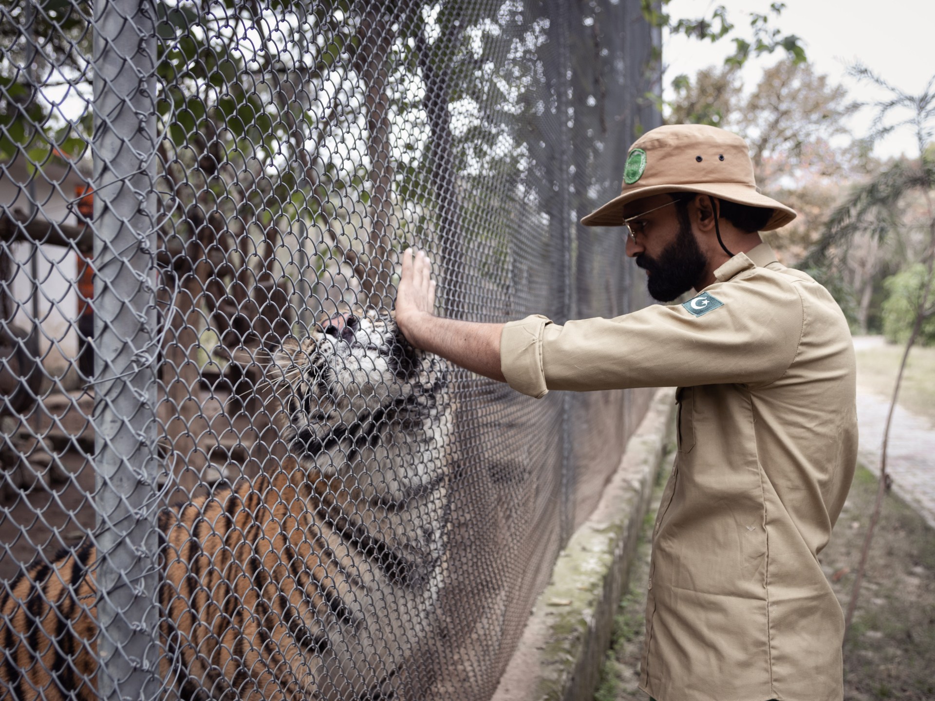 Saving Baboo the baby tiger: Inside Pakistan’s zoo-turned-rescue centre