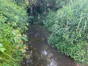 10 Months after PUNCH Healthwise report, Ogun community still lack access to potable water 