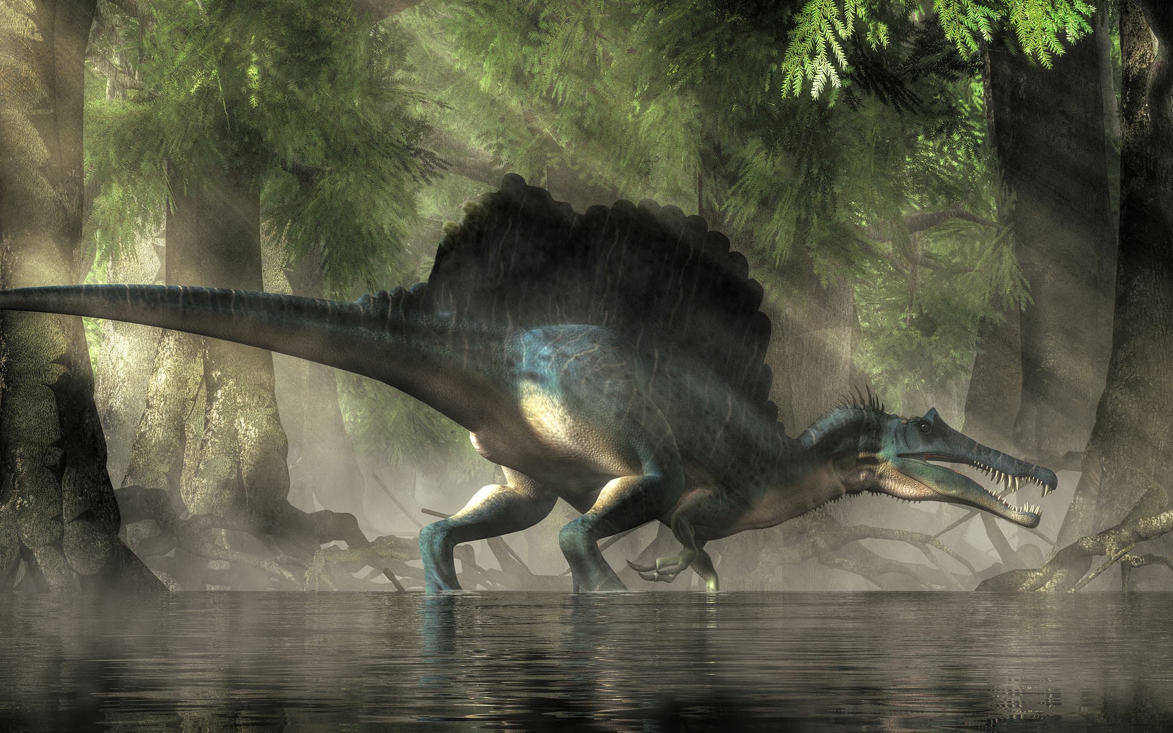 Spinosaurus may not have been a swimming dinosaur