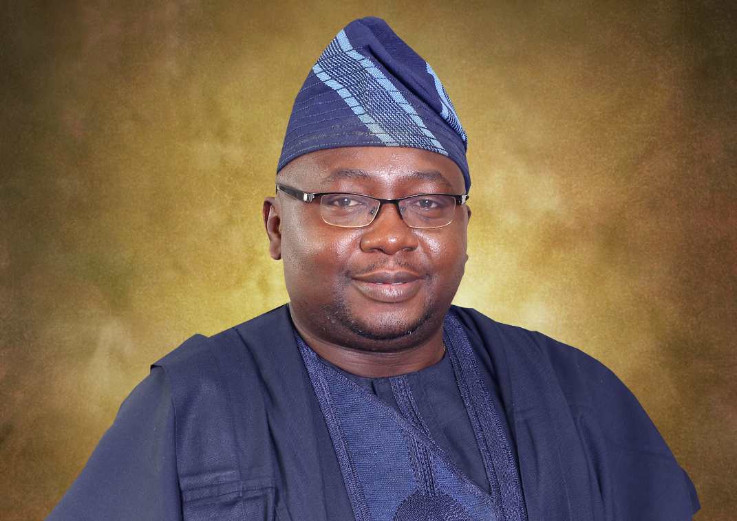 Nigerians pay lowest electricity tariff in West Africa — Adelabu