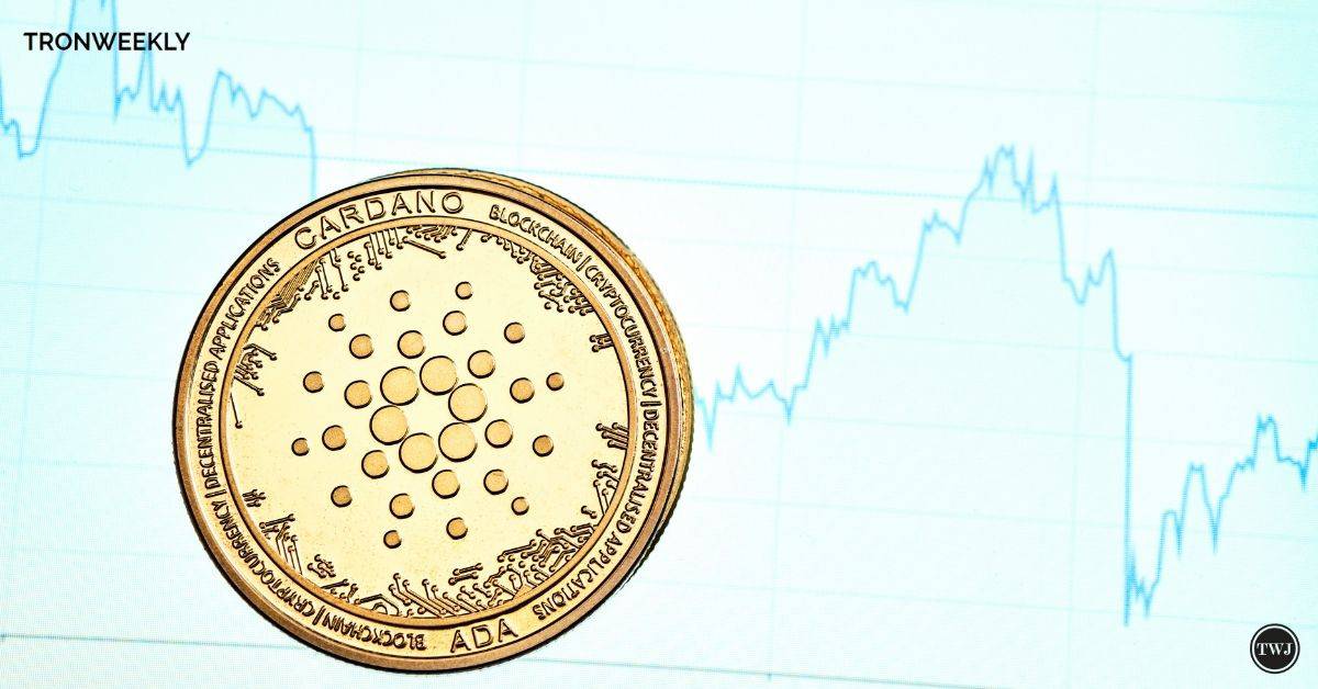 Cardano Poised To Hit New All-Time Highs In 90 Days: Analysts Predict