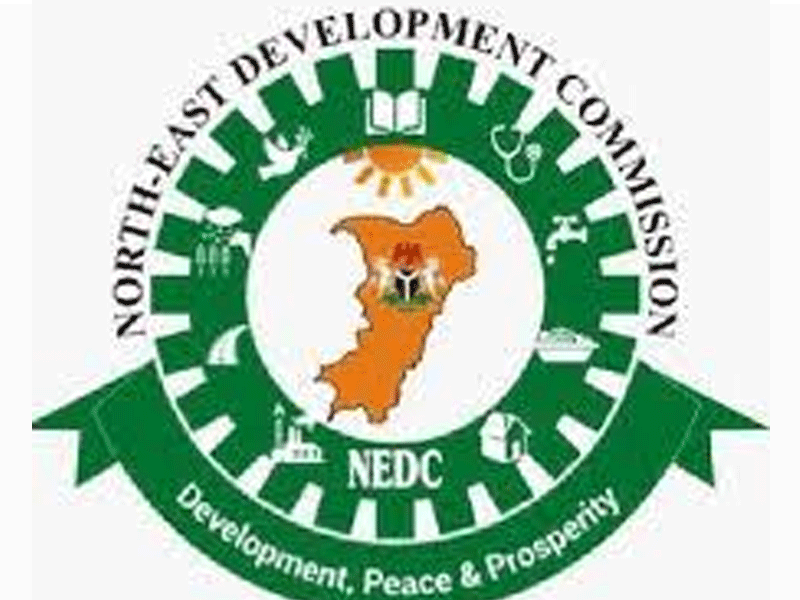 NEDC: SETTING THE STANDARD FOR REGIONAL INTERVENTION