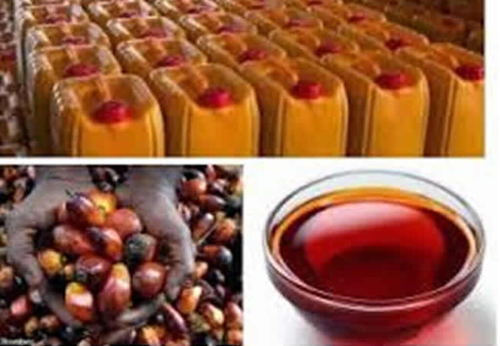 Palm Oil Business in Nigeria (2024)